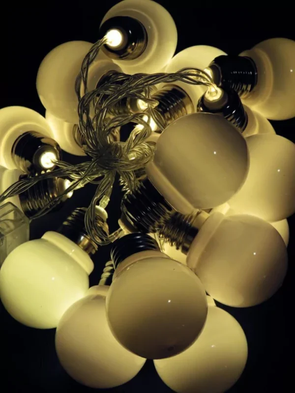 20 FOCOS LED BLANCO 220V